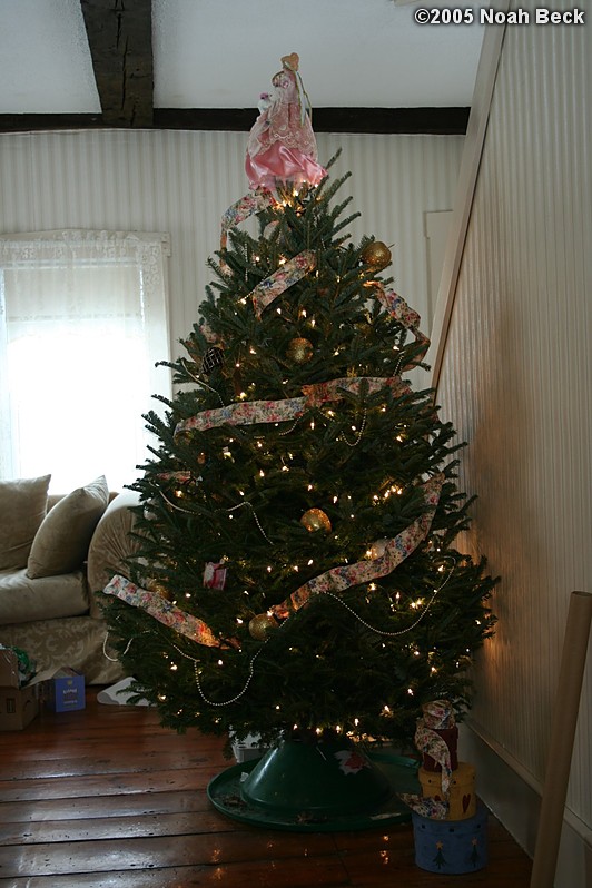 December 25, 2005: The 2005 christmas tree at our house