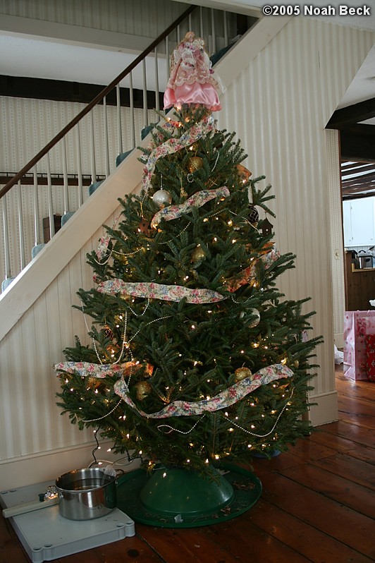 December 25, 2005: The 2005 christmas tree at our house
