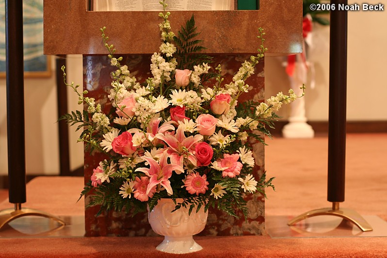 August 19, 2006: altar arrangement