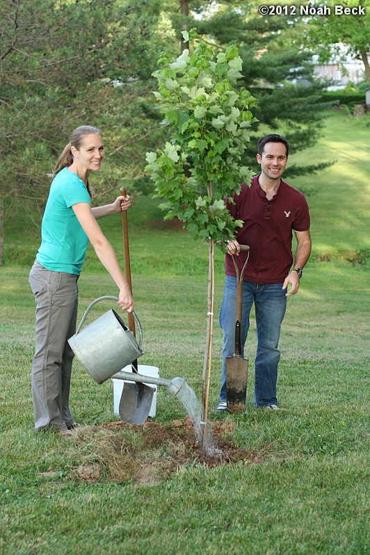 May 30, 2012: Anna and Mike planting the wedding tree