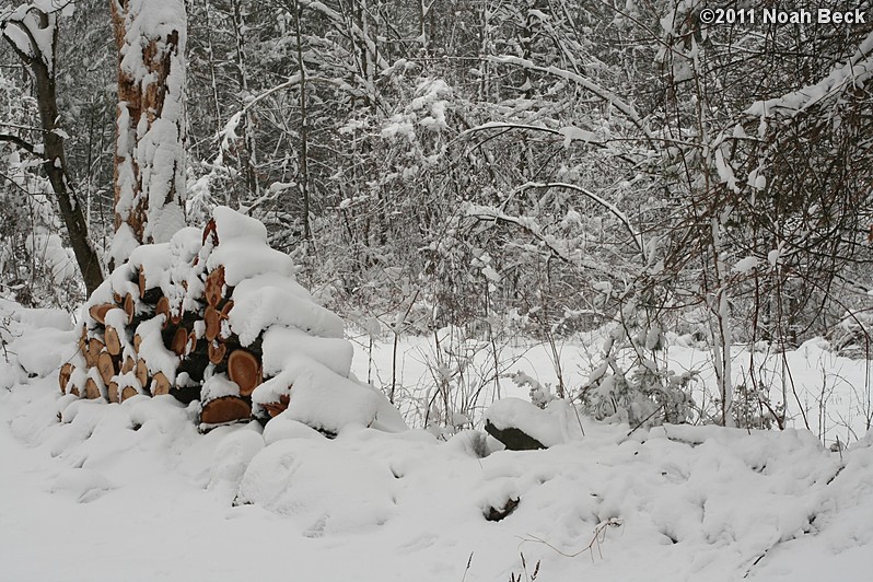 April 1, 2011: April fool&#39;s snow