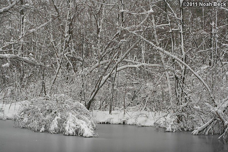 April 1, 2011: April fool&#39;s snow