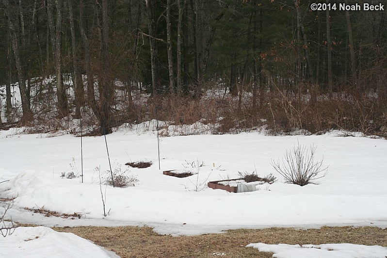 March 22, 2014: Back yard glacier has not melted yet.