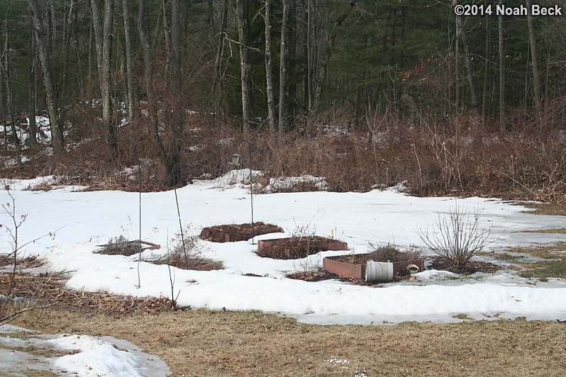 March 29, 2014: Back yard glacier melting progress