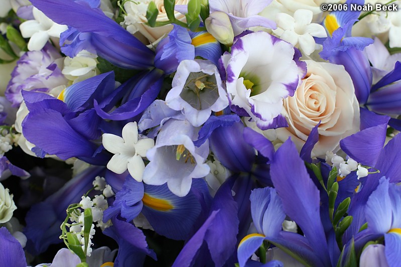 May 27, 2006: Basket of many hand-held bouquets