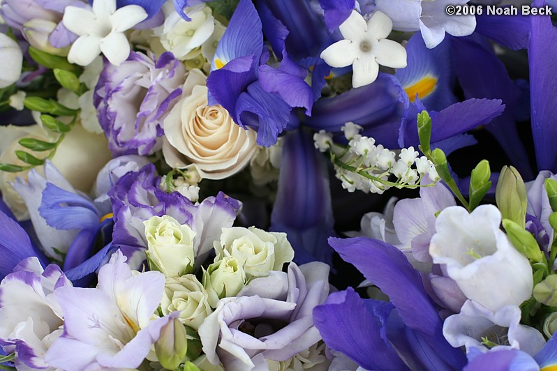 May 27, 2006: Basket of many hand-held bouquets