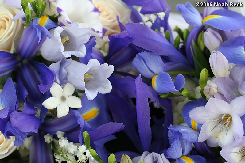 May 27, 2006: Basket of many hand-held bouquets