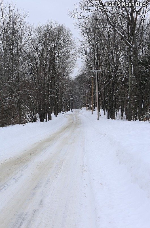 February 8, 2015: Looking up Beaman Rd