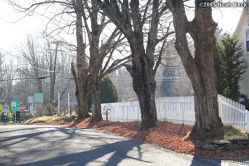 November 20, 2005: Looking down Beaman Rd toward Rt 140 in front of our house