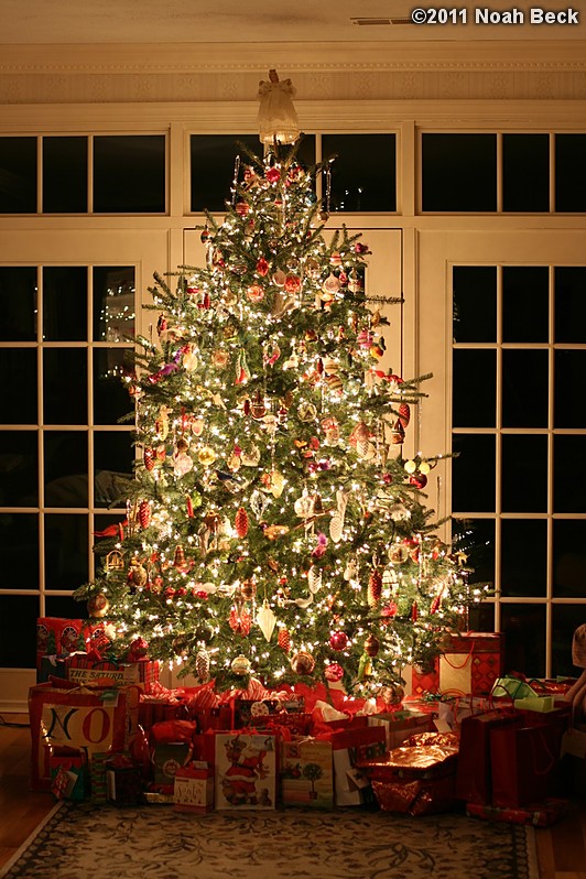 December 25, 2011: Beck Farm Christmas tree