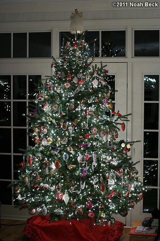 December 26, 2011: Beck Farm Christmas tree