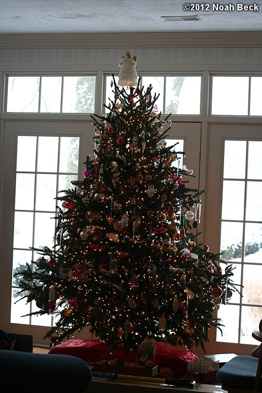 December 29, 2012: Beck farm Christmas tree