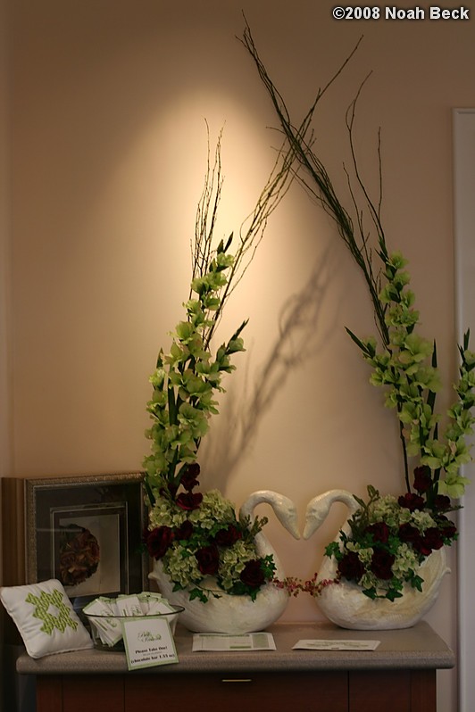 January 26, 2008: Bells of Ireland display at Enterprise Bank