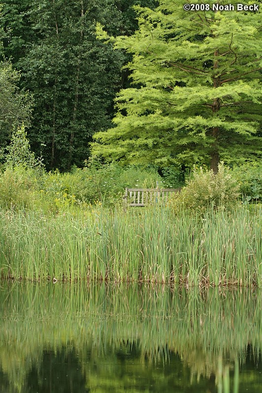 August 9, 2008: a bench beyond a pond at Tower Hill