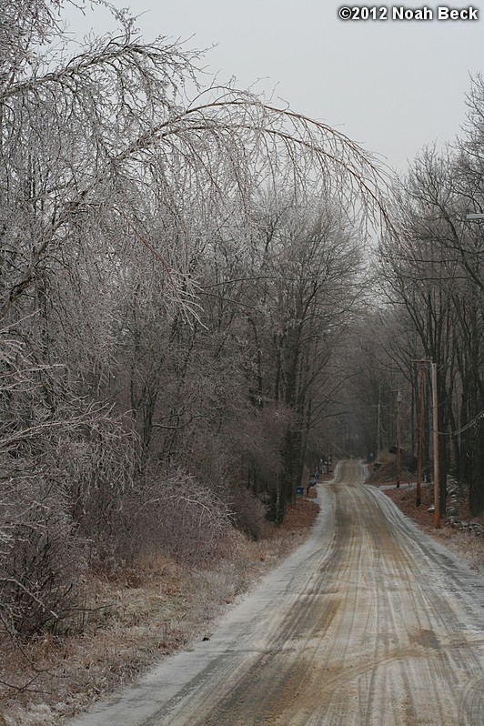 December 17, 2012: Some birch trees next to the road