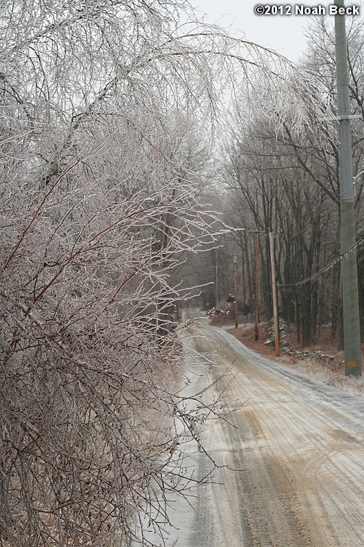 December 17, 2012: Some birch trees next to the road