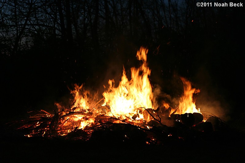 November 5, 2011: Bonfire at Anna and Mike&#39;s engagement party