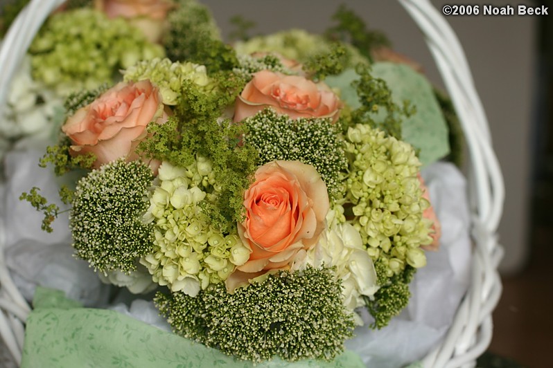 July 15, 2006: bouquets in a basket