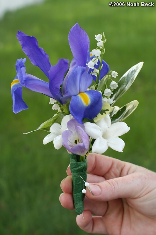 May 27, 2006: Boutonniere