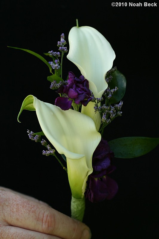 May 15, 2010: Boutonniere