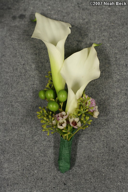 September 14, 2007: Boutonnierre