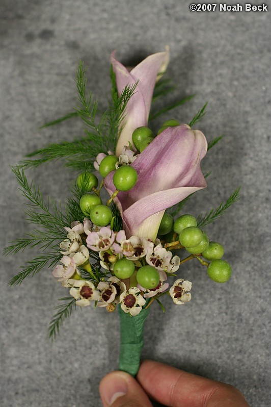 September 14, 2007: Boutonnierre