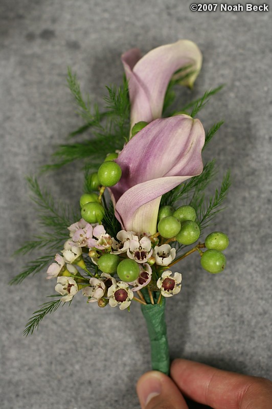 September 14, 2007: Boutonnierre