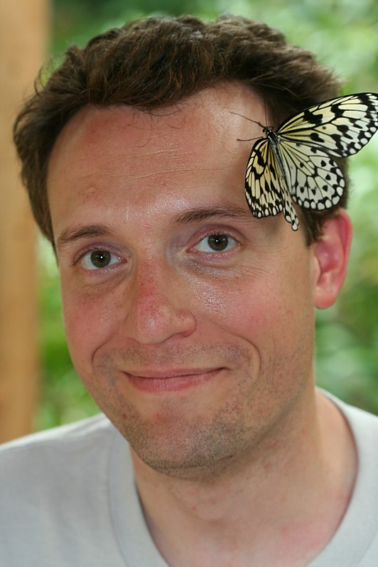 June 6, 2009: a butterfly on Noah&#39;s forehead