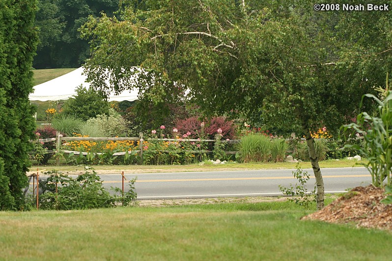 July 19, 2008: Carl&#39;s garden across the street