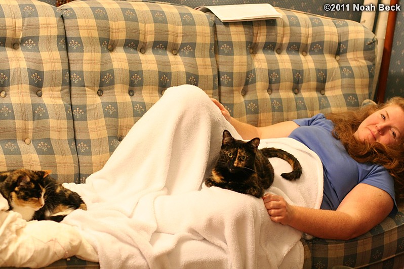 November 3, 2011: Cats napping on Roz on the couch