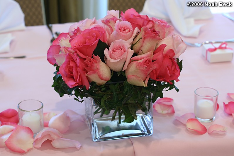 July 1, 2006: Centerpiece flower arrangement