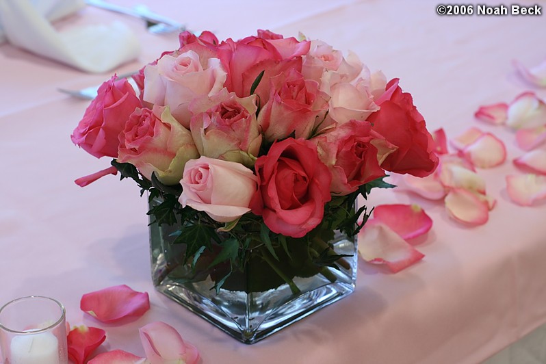 July 1, 2006: Centerpiece flower arrangement