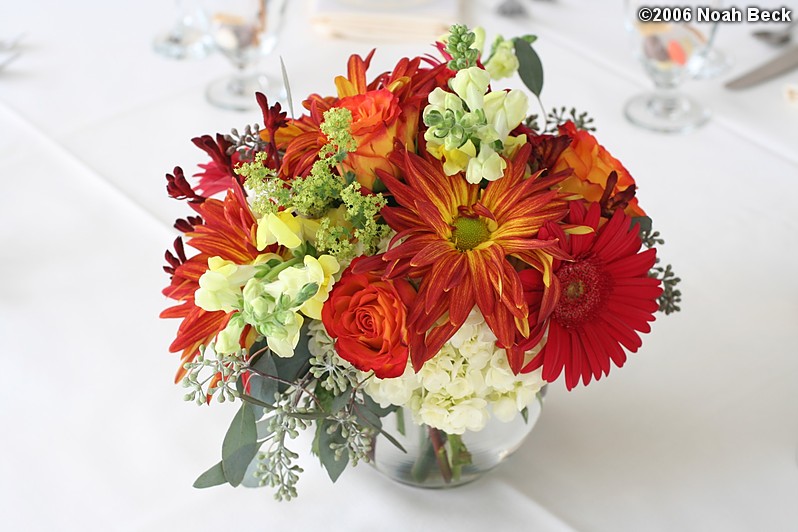 October 7, 2006: centerpiece flower arrangement