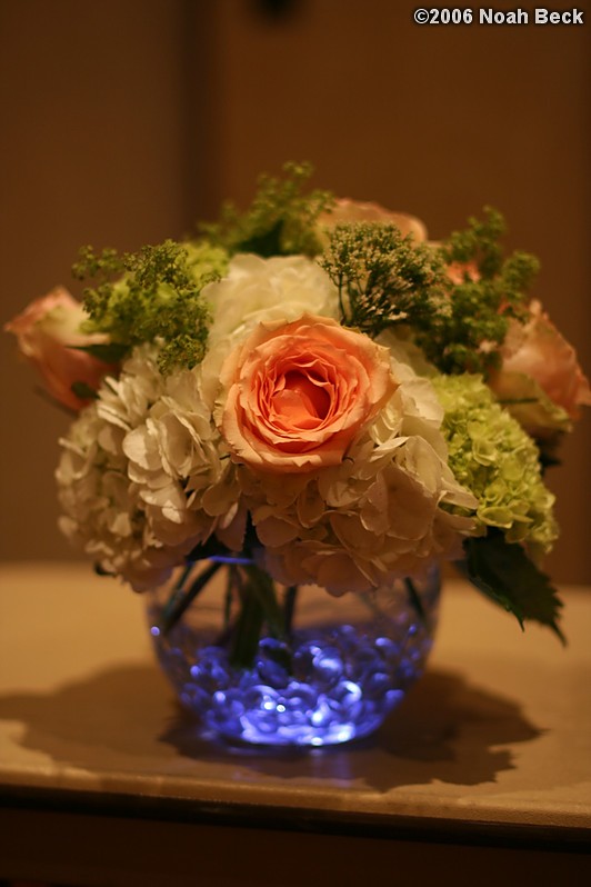 July 15, 2006: centerpiece with a light in the water