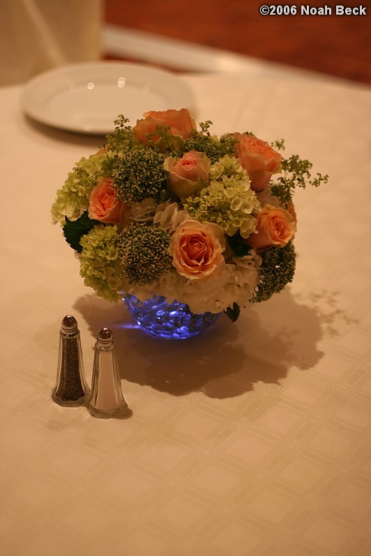 July 15, 2006: centerpiece with a light in the water