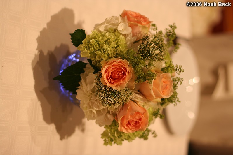 July 15, 2006: centerpiece with a light in the water