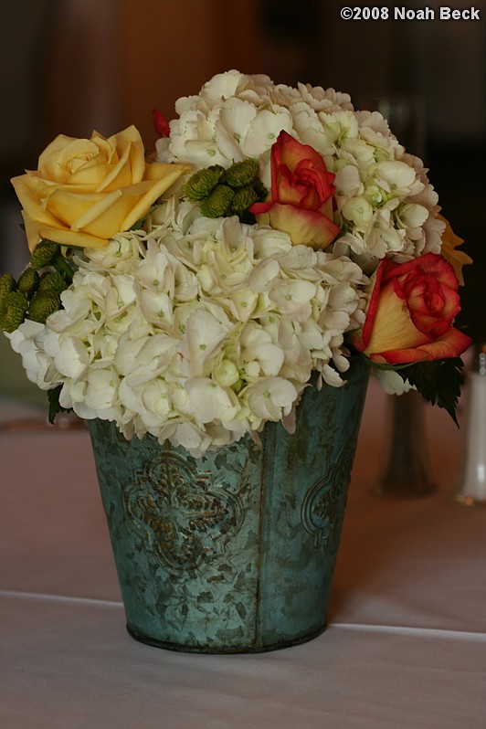 June 1, 2008: Centerpiece in a mini rustic tin bucket