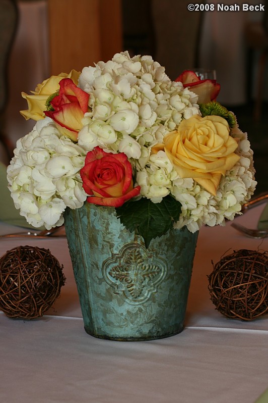 June 1, 2008: Centerpiece in a mini rustic tin bucket