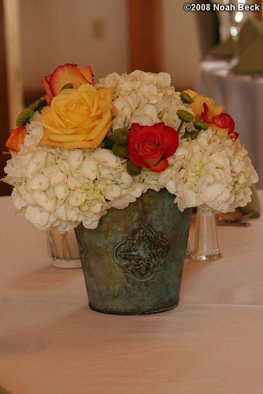 June 1, 2008: Centerpiece in a mini rustic tin bucket