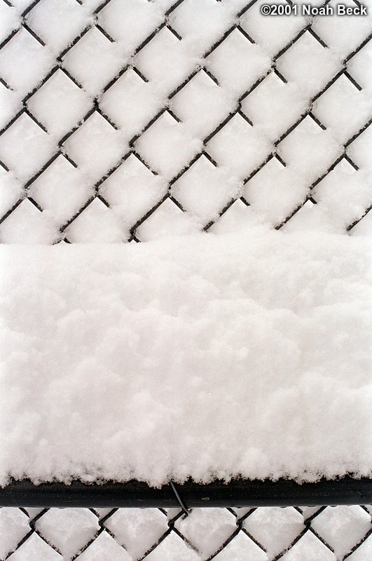 March 6, 2001: This chainlink fence is in a spot that is very sheltered from the wind, so the snow was free to pile up as high as it could. There is a road with traffic, on the other side of this fence, but today you can&#39;t see it because the snow has piled up on all of the wires that make up the fence.