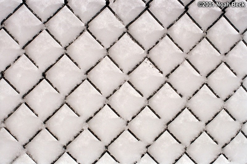 March 6, 2001: This chainlink fence is in a spot that is very sheltered from the wind, so the snow was free to pile up as high as it could. There is a road with traffic, on the other side of this fence, but today you can&#39;t see it because the snow has piled up on all of the wires that make up the fence.