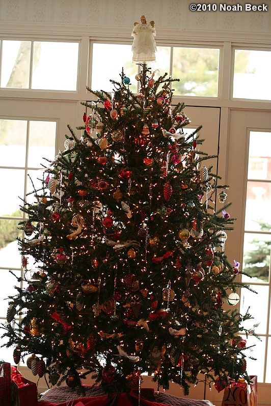 December 24, 2010: Chrismas tree