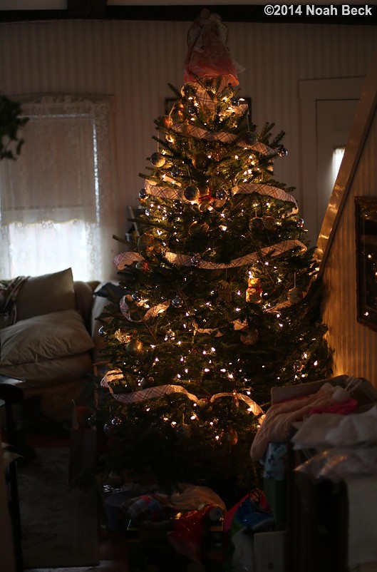 December 25, 2014: Our Christmas tree