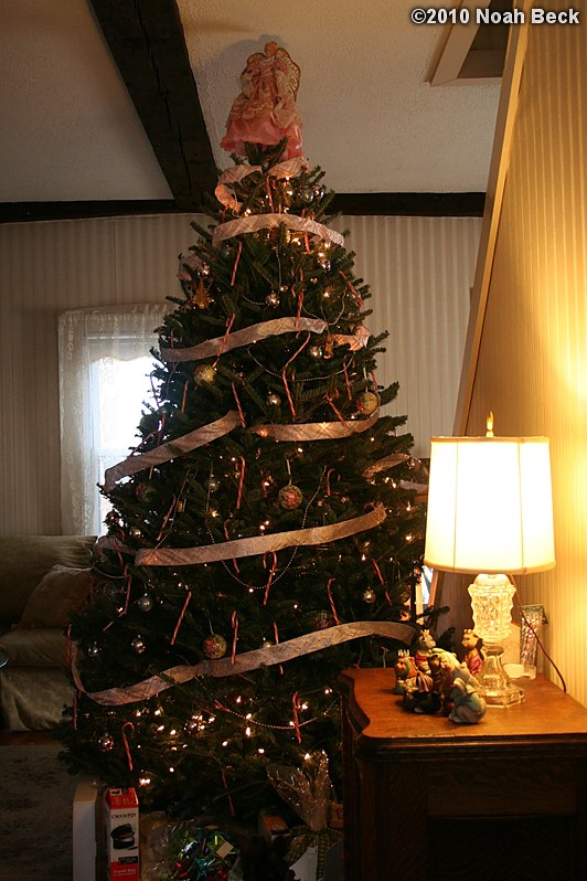 December 19, 2010: Christmas tree