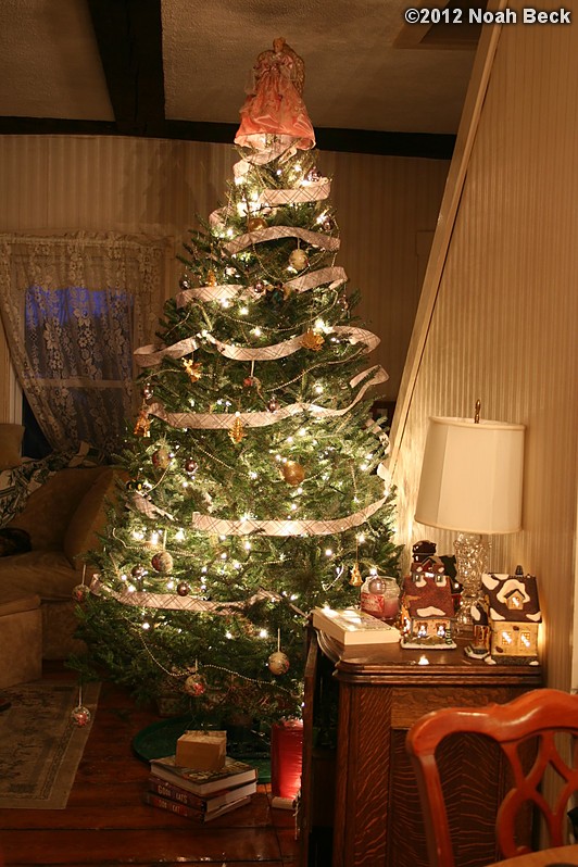 January 15, 2012: Our Christmas tree