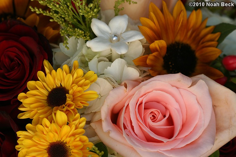 October 10, 2010: closeup of Rosalind&#39;s flower arrangement work
