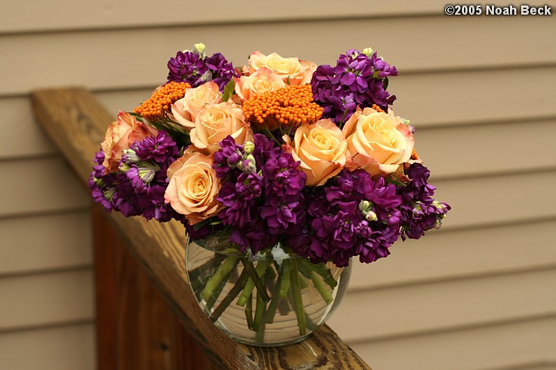 October 23, 2005: Cottage Yarrow, Purple Stock, and bi-color Yellow and Pink Roses in a bubble bowl