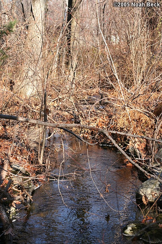 November 20, 2005: the creek by the new house