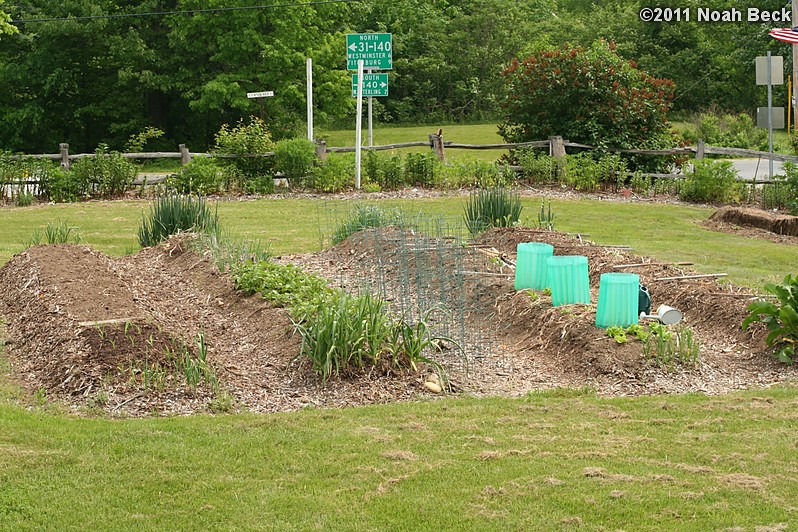 May 30, 2011: Early garden, left bed: corn; next bed: leeks, potatoes, onions, more leeks; next bed: lettuce in between tomatoes (in wall-o-water), last bed: tomatoes