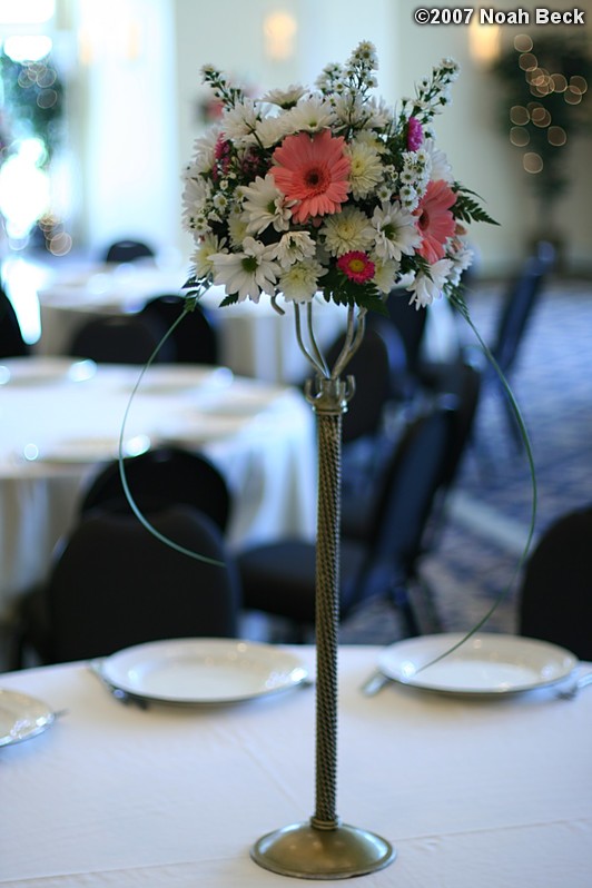 June 24, 2007: elevated centerpiece